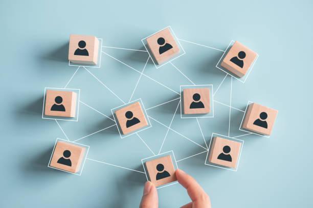 What is Cowry Human Resource Management?